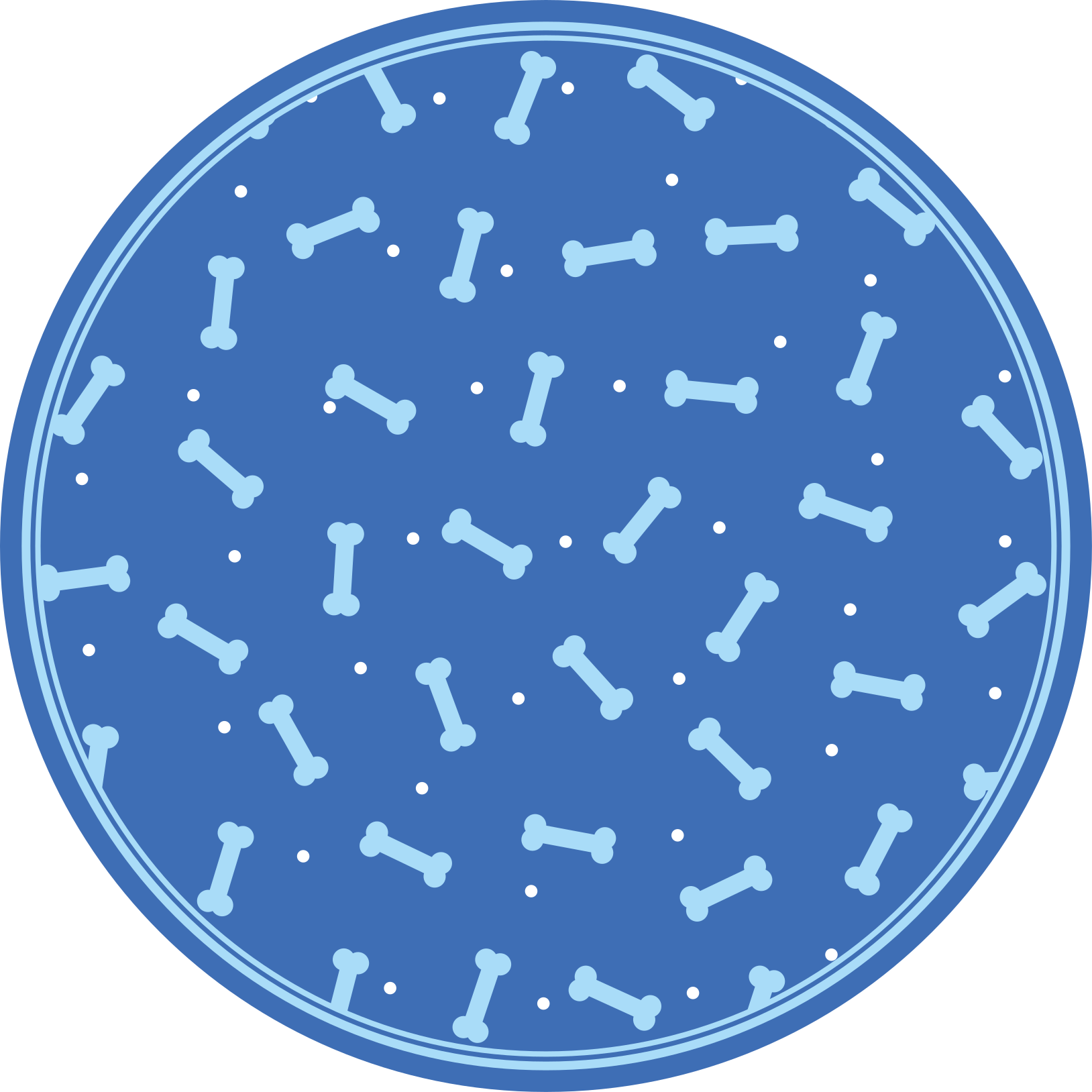 圆形乙烯基地毯骨骼图案游戏 - TenStickers