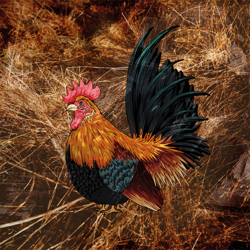 乙烯基地毯动物印花生动公鸡图案 - TenStickers