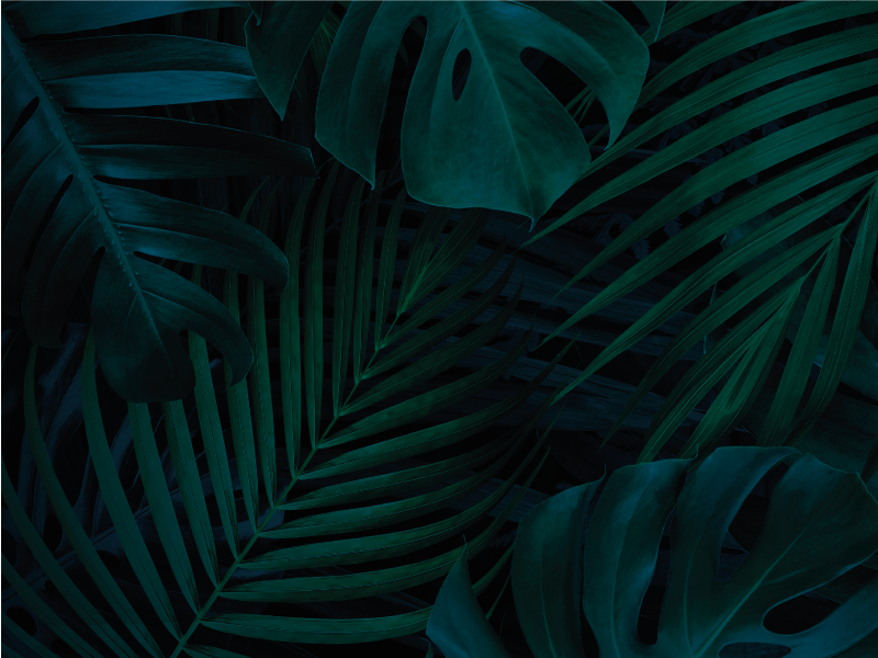 乙烯基花草地毯 热带植物 - TenStickers