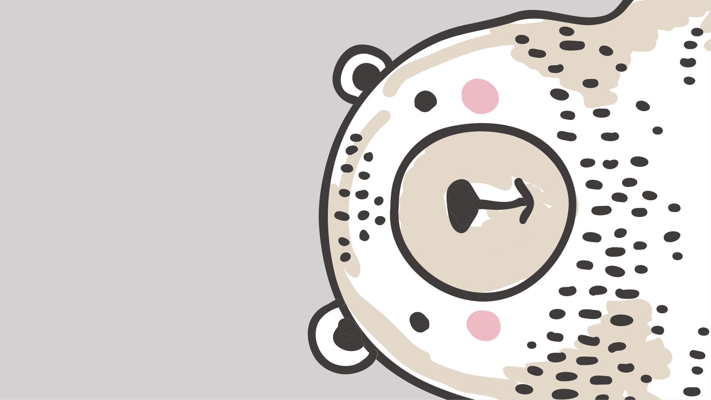 乙烯基地毯托儿所 熊脸形状 - TenStickers