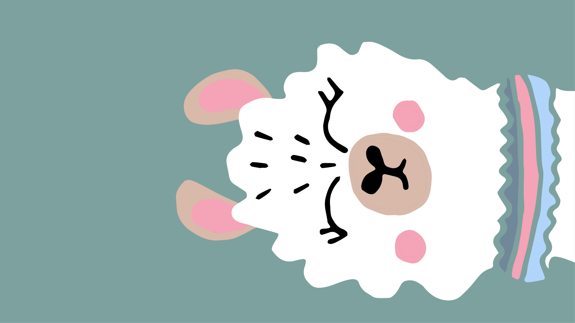 没有骆驼戏剧动物地毯 - TenStickers