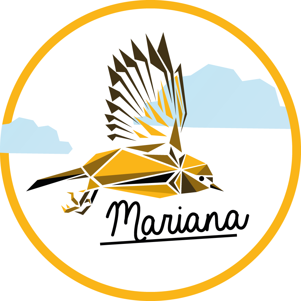 乙烯基地毯名称 个性化鸟 - TenStickers