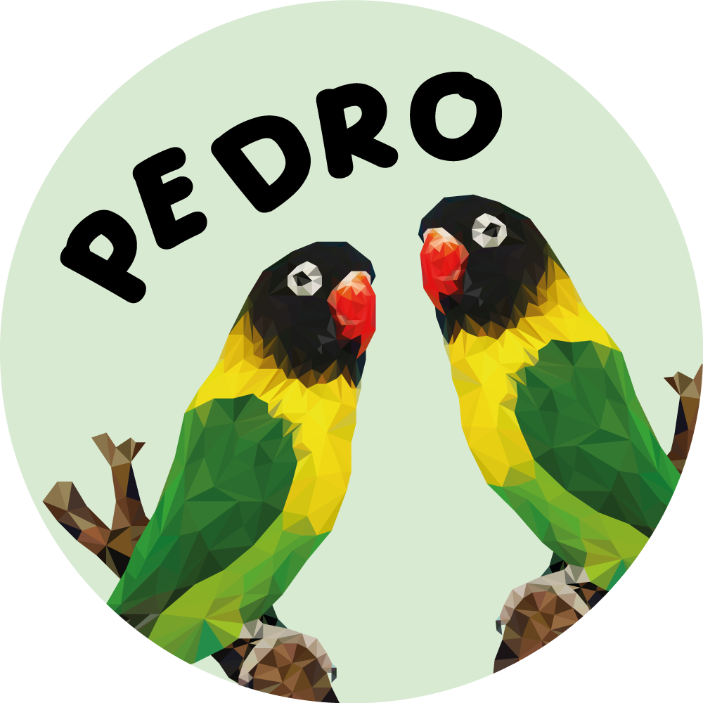 乙烯基地毯名称 可定制的爱情鸟 - TenStickers