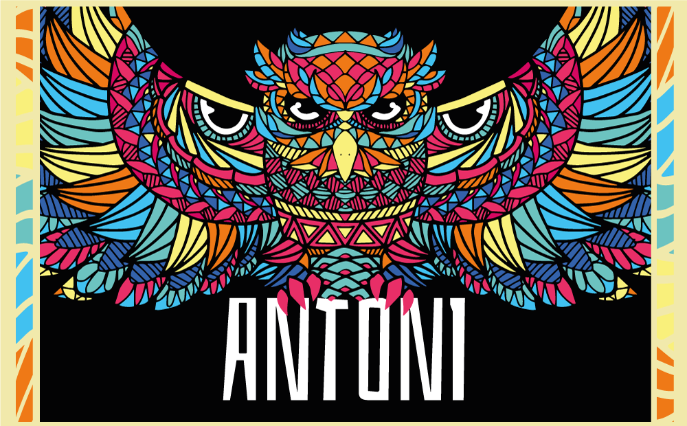 乙烯基地毯名称 彩色猫头鹰定制 - TenStickers