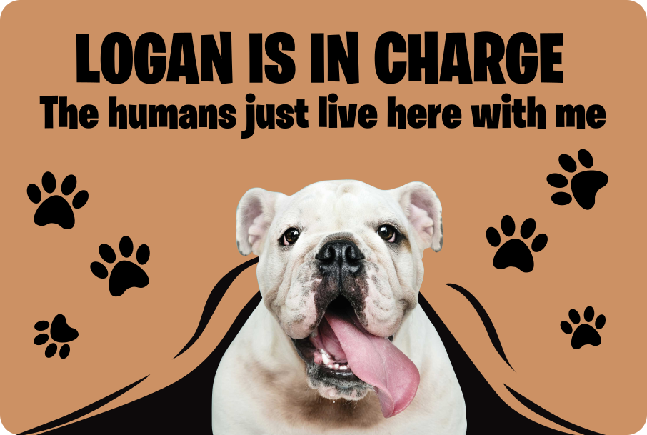 定制照片宠物门厅瓷砖 - TenStickers