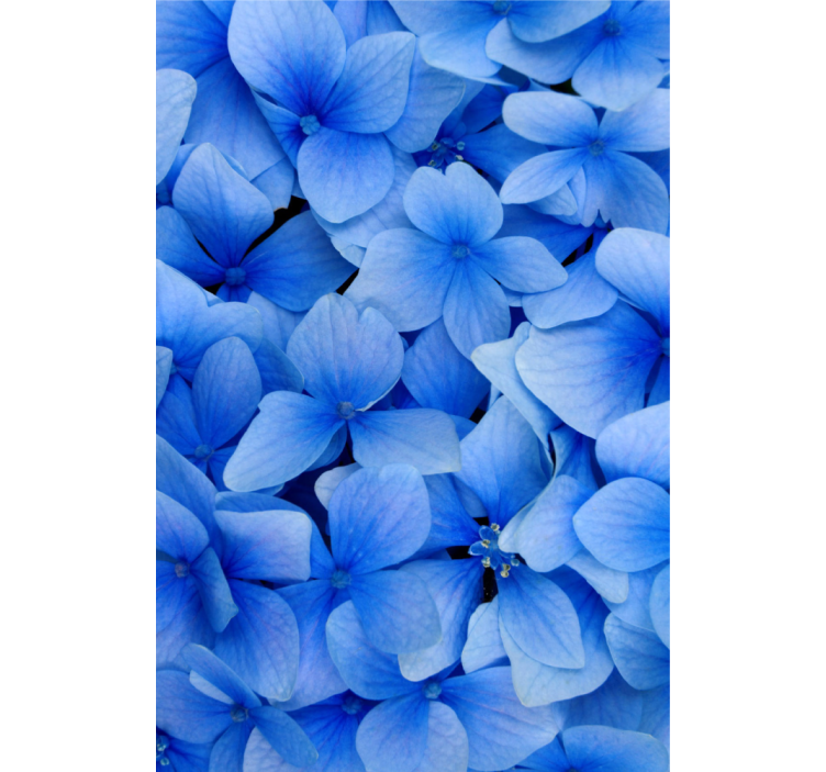 客厅装饰墙纸绣球花花瓣图案 - TenStickers