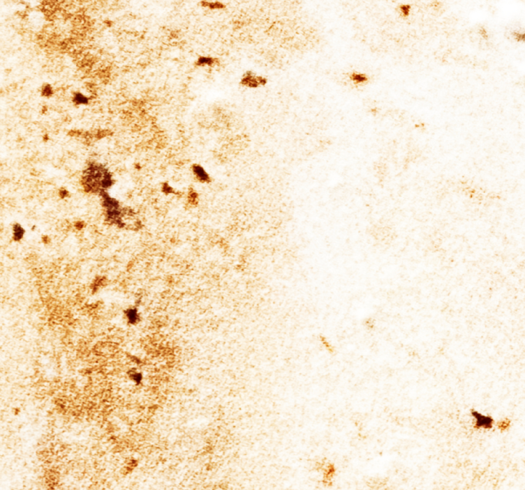 墙纸大理石自然石材美学 - TenStickers