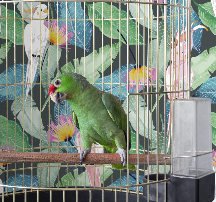 墙纸鸟类 热带鸟类和叶子 - TenStickers